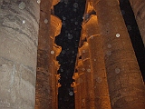 egitto lupo 3 179